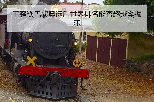 王楚钦巴黎奥运后世界排名能否超越樊振东